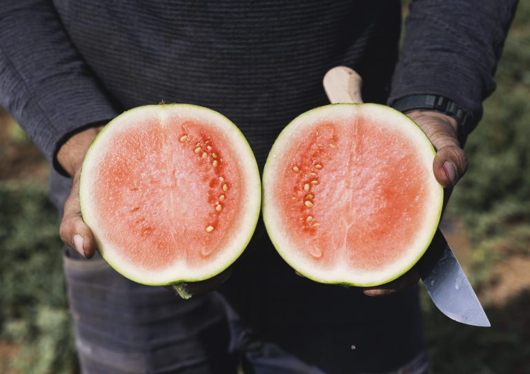 Planetary Health Diet: Gesund essen – für Mensch und Planet